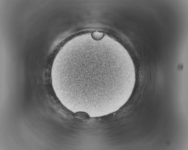 X0000113941352200911061232