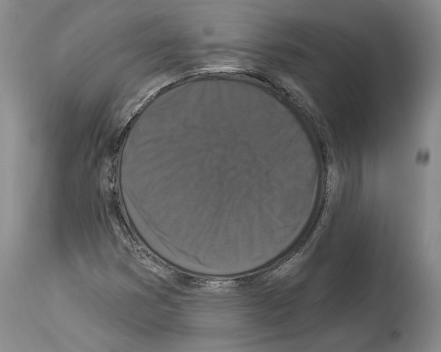 X0000113941353200911061232