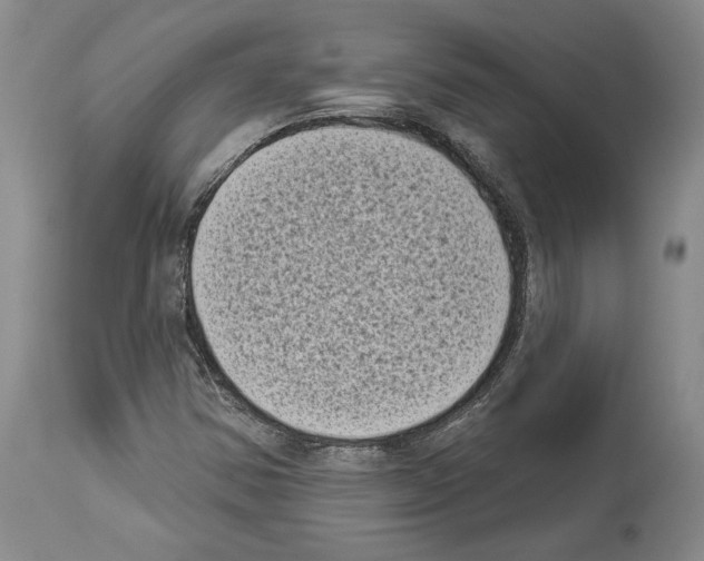 X0000113941354200911061232
