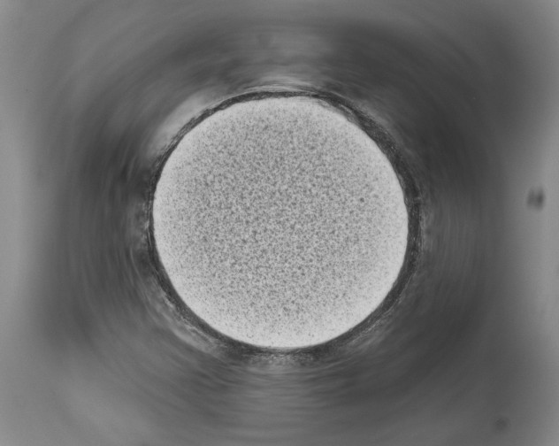 X0000113941355200911061232