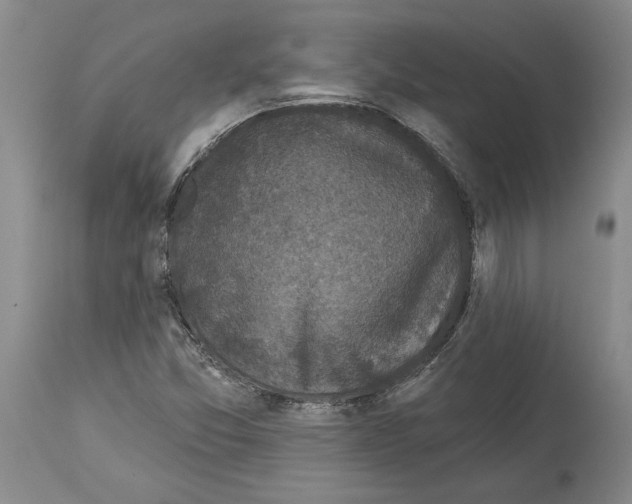 X0000113941357200911061232