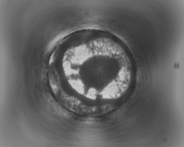 X0000113941359200911061232