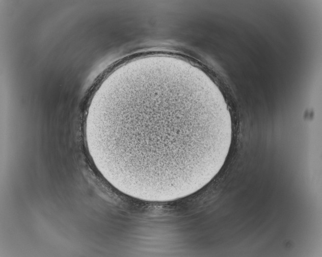 X0000113941360200911061232
