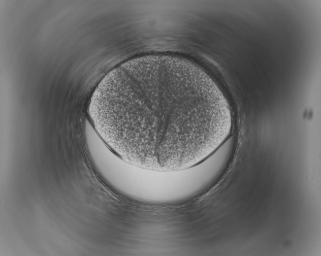 X0000113941361200911061232