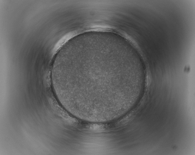X0000113941362200911061232