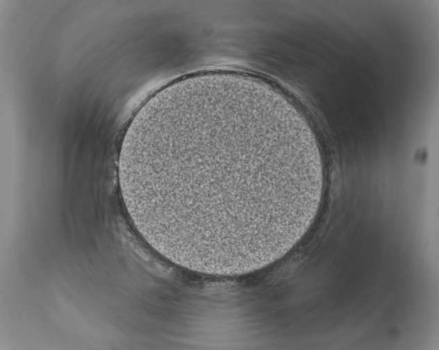 X0000113941363200911061232