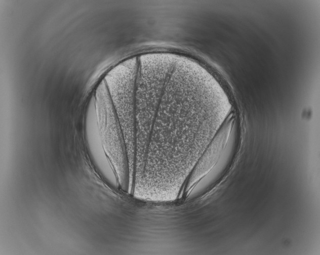 X0000113941365200911061232