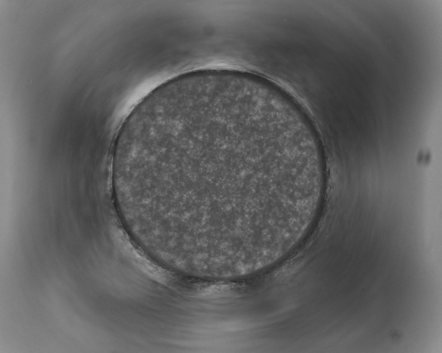 X0000113941367200911061232
