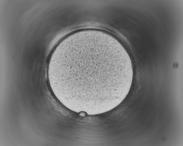 X0000113941368200911061232
