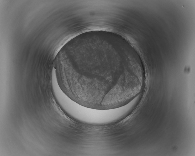 X0000113941369200911061232