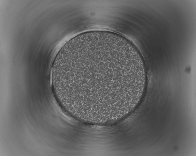 X0000113941371200911061231