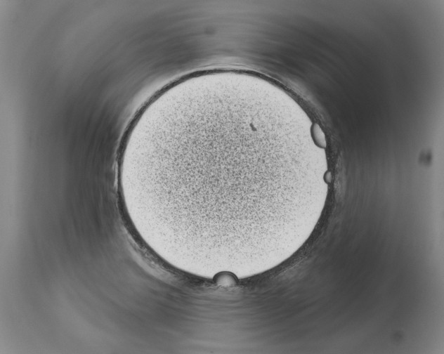 X0000113941372200911061231
