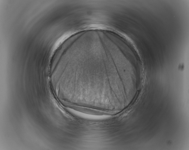 X0000113941373200911061231