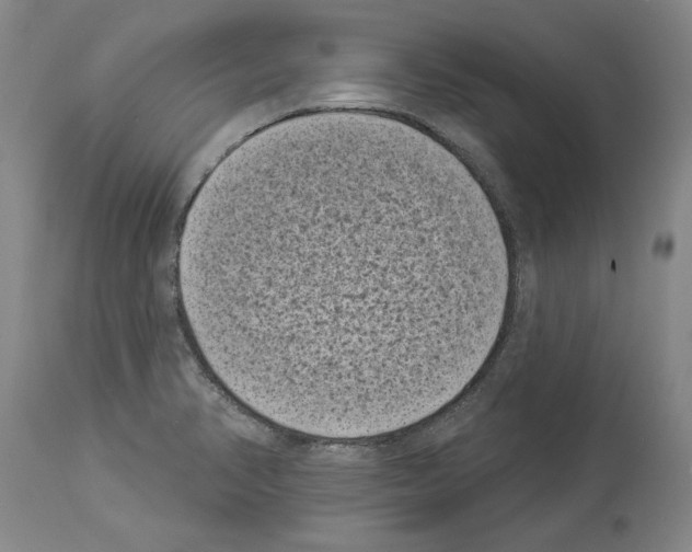 X0000113941374200911061231