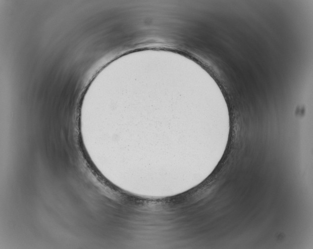 X0000113941375200911061231