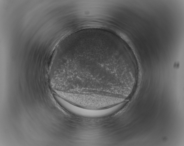 X0000113941377200911061231