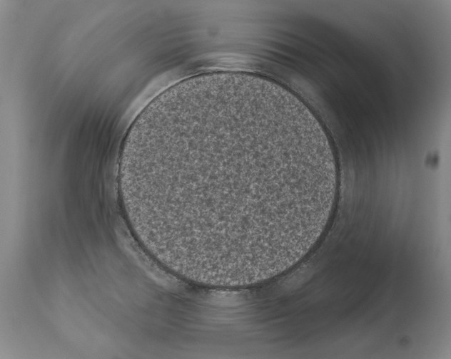 X0000113941378200911061231