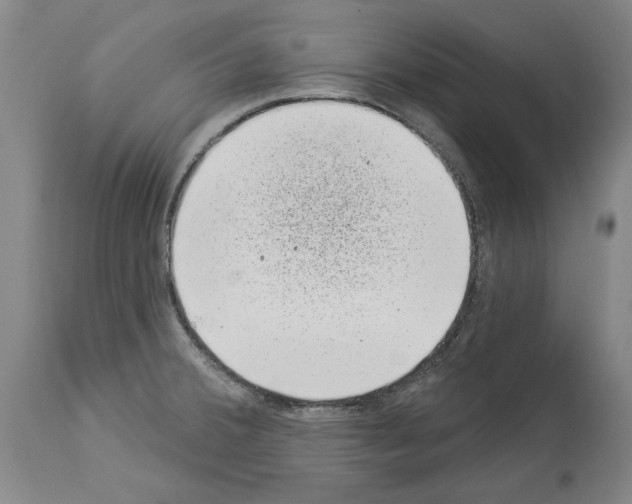 X0000113941380200911061231
