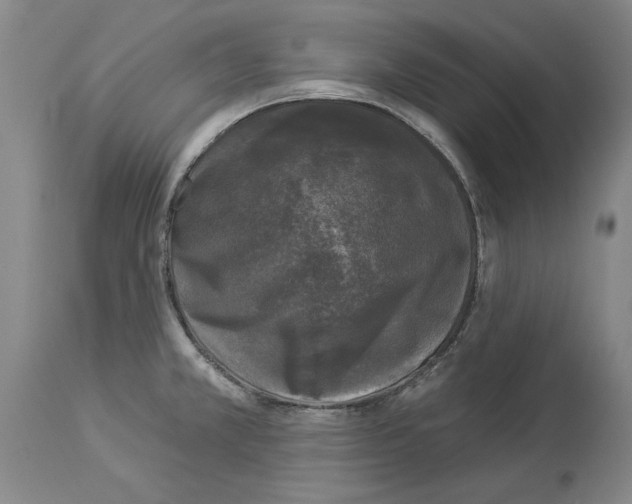 X0000113941381200911061231
