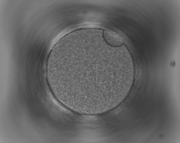 X0000113941382200911061231