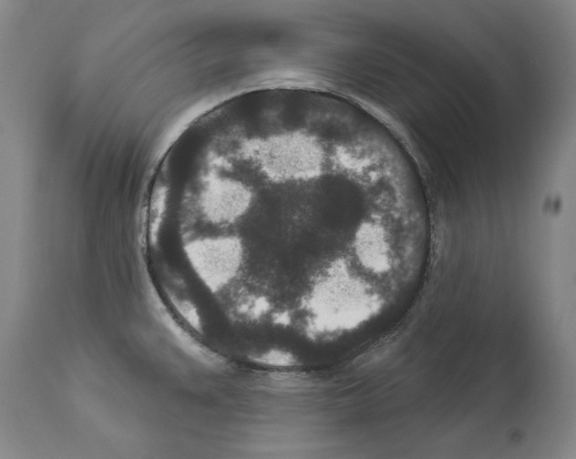 X0000113941383200911061231