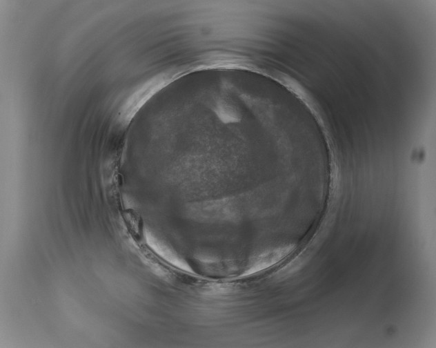X0000113941385200911061231