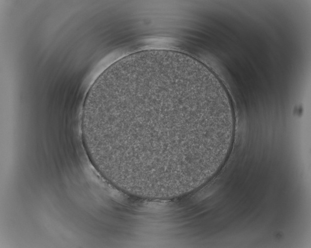 X0000113941386200911061231