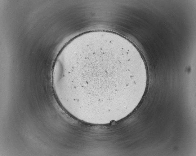 X0000113941388200911061231