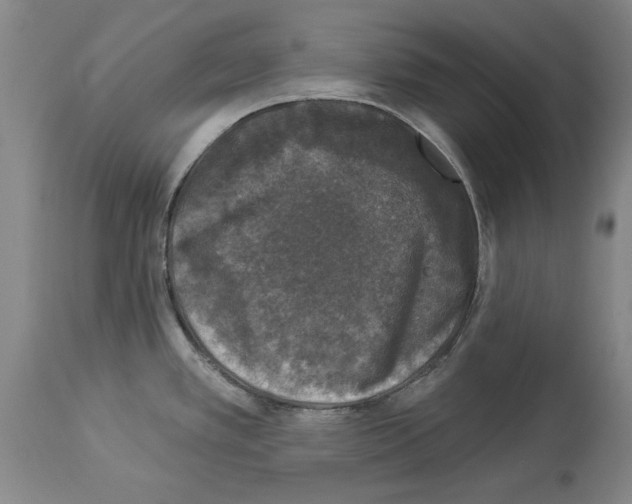 X0000113941389200911061231