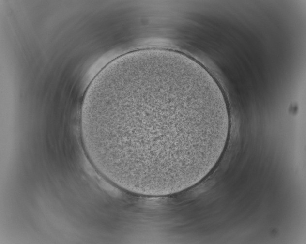 X0000113941390200911061231