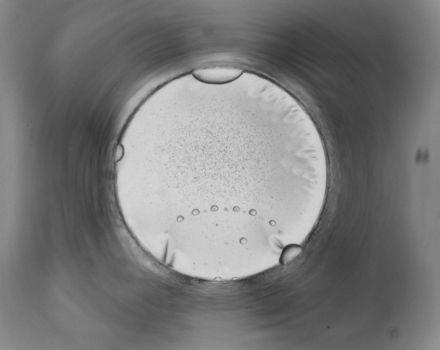 X0000113941392200911061231