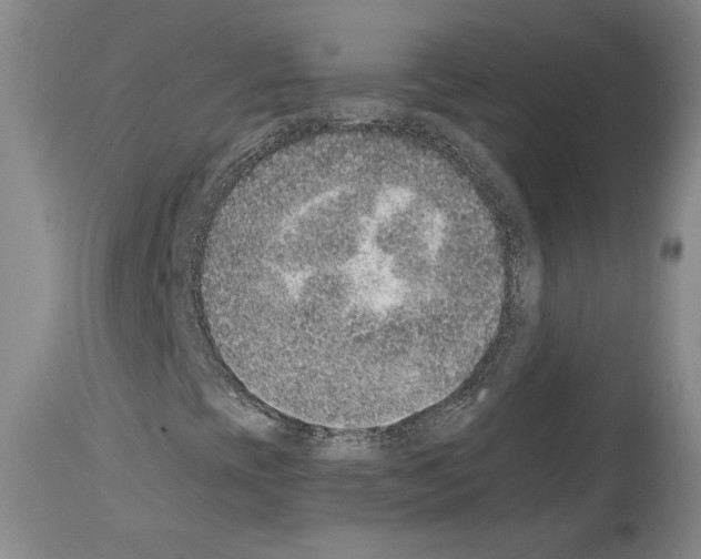 X0000113941393200911061231