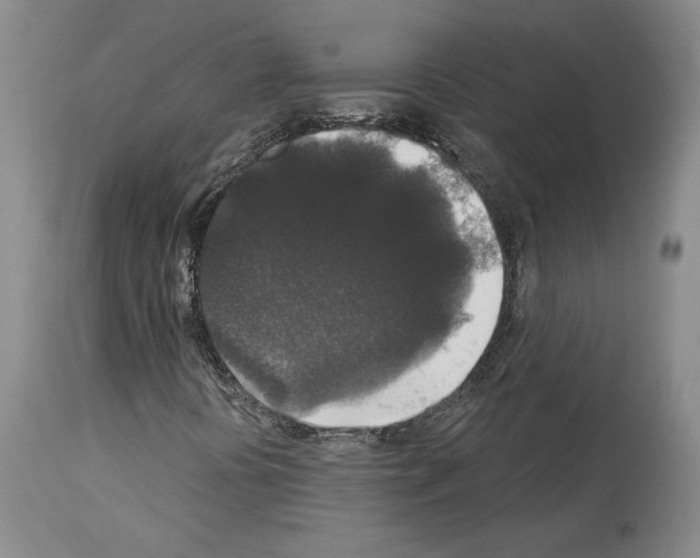 X0000113941394200911061231