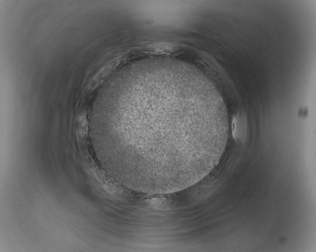 X0000113941395200911061231