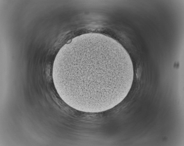 X0000113941396200911061231