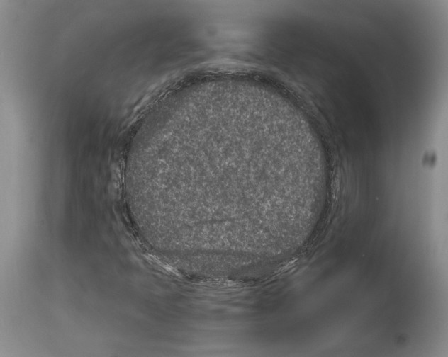 X0000113941397200911061231