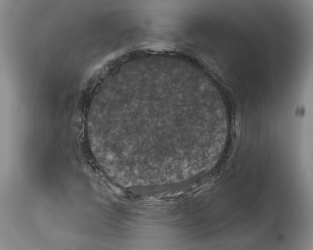X0000113941398200911061231