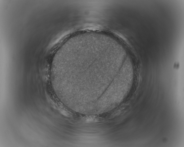 X0000113941399200911061231