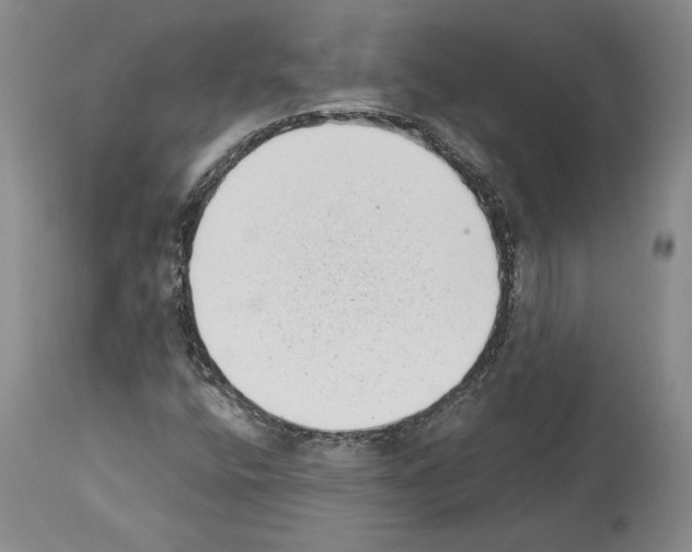 X0000113941400200911061231