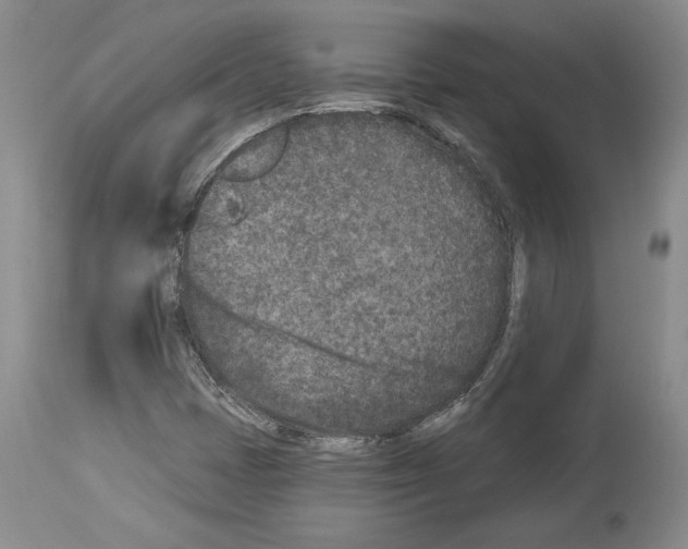 X0000113941401200911061231