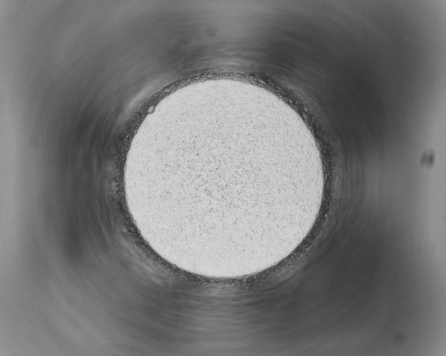X0000113941402200911061231