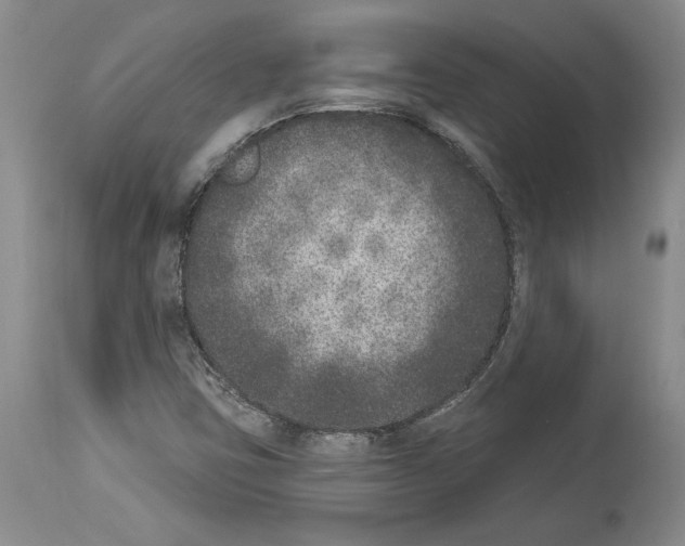 X0000113941403200911061231