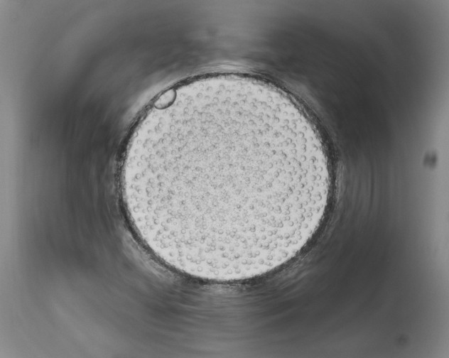 X0000113941404200911061231