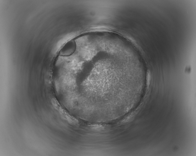X0000113941405200911061231