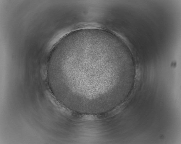 X0000113941407200911061231