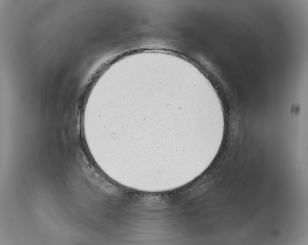 X0000113941408200911061231