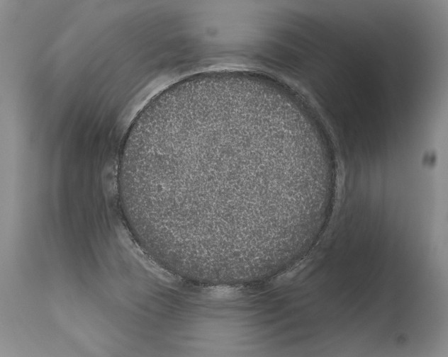 X0000113941409200911061231