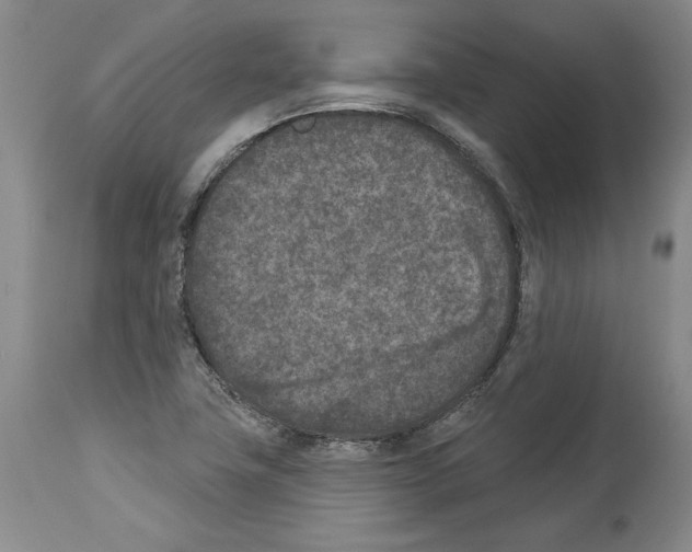 X0000113941411200911061231