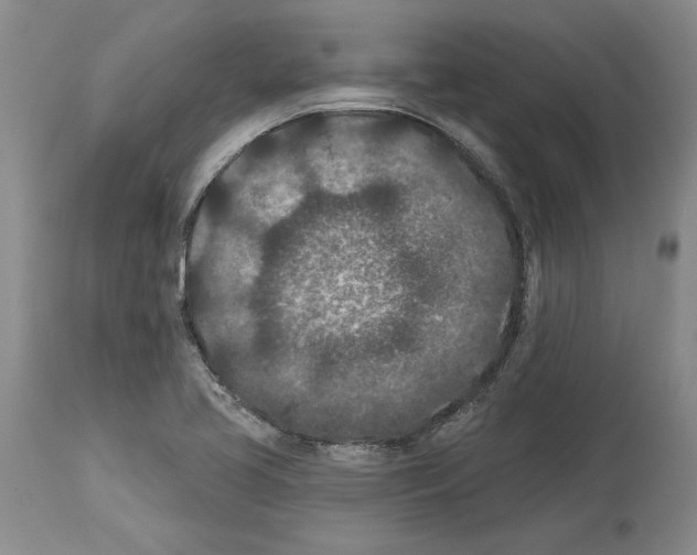 X0000113941413200911061231