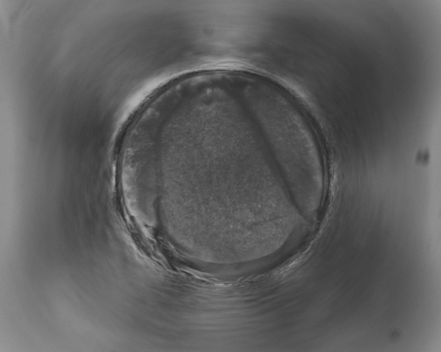 X0000113941414200911061231